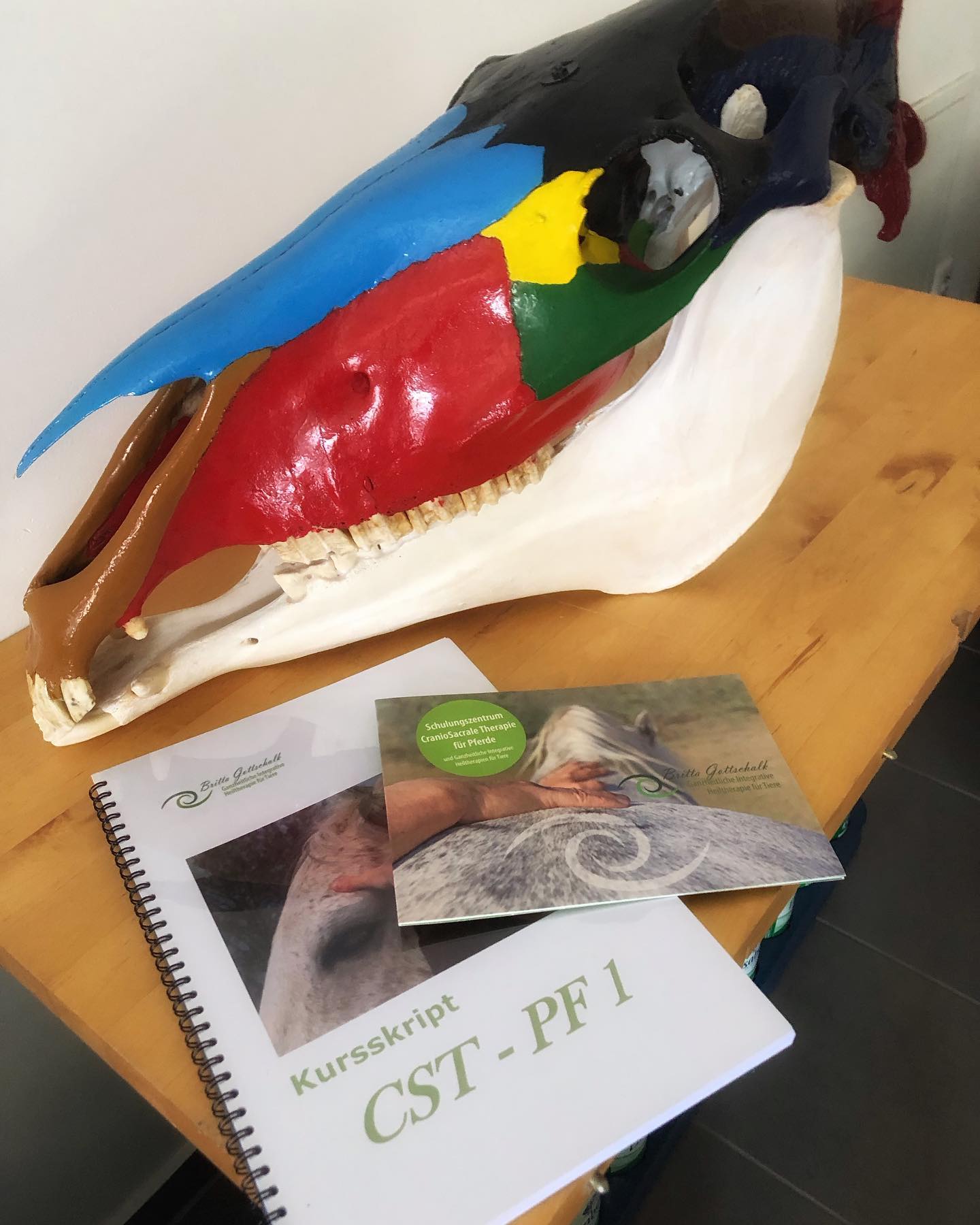 Nach der Ausbildung ist vor der Weiterbildung!

Es liegen 6 Tage des ersten Moduls der Zusatzausbildung #CranioSacralen Therapie für Pferde nach Britta Gottschalk (#Upledger) hinter mir. Eine intensive und lehrreiche Zeit mit vielen neuen Erfahrungen und feinstem Hineinfühlen. 🫳🏼

Ich freue mich auf die folgenden Module und darauf, in diese feine Art der Behandlung tiefer eintauchen zu dürfen. 💜

#pferdeosteopathie #pferdeosteo #pferdephysiotherapie #pferdephysio #pferdereha #pferdetherapie #craniosacraltherapy #craniosacral #craniosacral_pferd #gesundespferd #gesundespferdglücklichermensch #manlerntnieaus #manlerntfürsleben