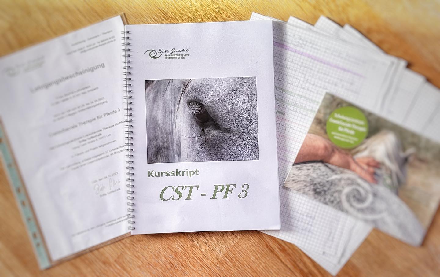 Anfang Oktober fand das dritte und letzte Modul der Zusatzausbildung #craniosacraletherapiefürpferde nach Britta Gottschalk (#uppledger) statt. Es waren wieder fünf sehr intensive Tage, um das Gelernte zu intensivieren und mit neuen Behandlungsmethoden zu erweitern. 🫳🏼 

Vielen Dank für alles, was Du uns für die Behandlung von Pferden und fürs Leben gelehrt hast, liebe Britta!🧡 

Vielen Dank für die schönen Freundschaften und Kooperationen die entstanden sind!💜

#Craniosacraletherapiefürpferde #craniosacraltherapy #craniosacraltherapist
#pferdephysiotherapie #pferdephysio #pferdeosteopathie #pferdeosteo #pferdereha #pferdetherapie #folgedeinemherzen #folgedeinemtraum